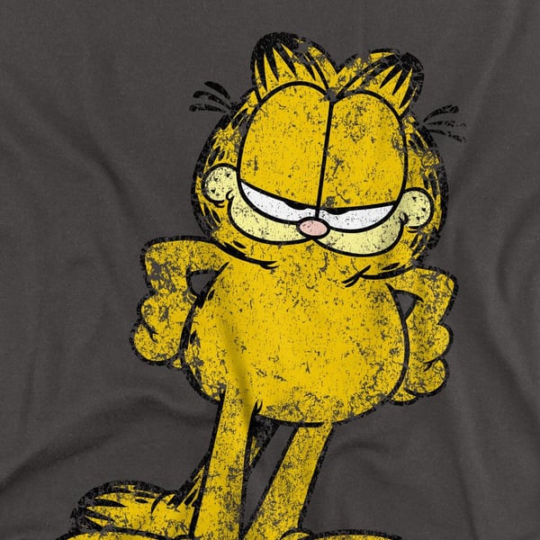 Garfield Unisex Adult Big Ol´ Cat T-Shirt