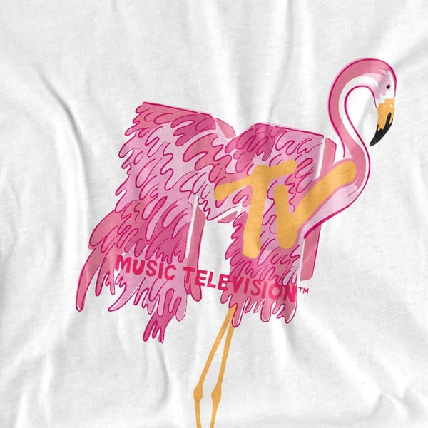 MTV Unisex Adult Flamingo T-Shirt