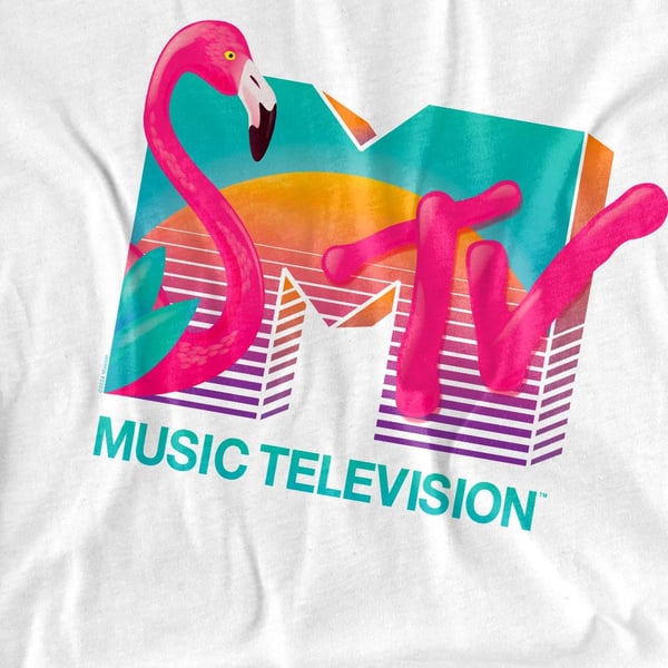 MTV Unisex Adult Vibrant Flamingo Sunset T-Shirt