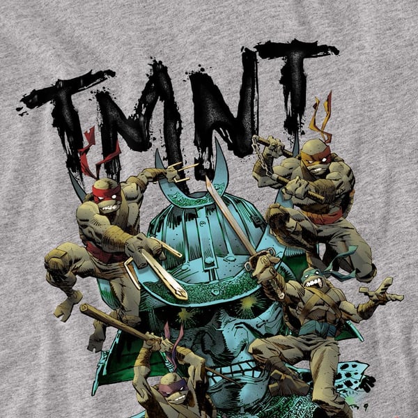 Teenage Mutant Ninja Turtles Unisex Adult Feudal Japan T-Shirt