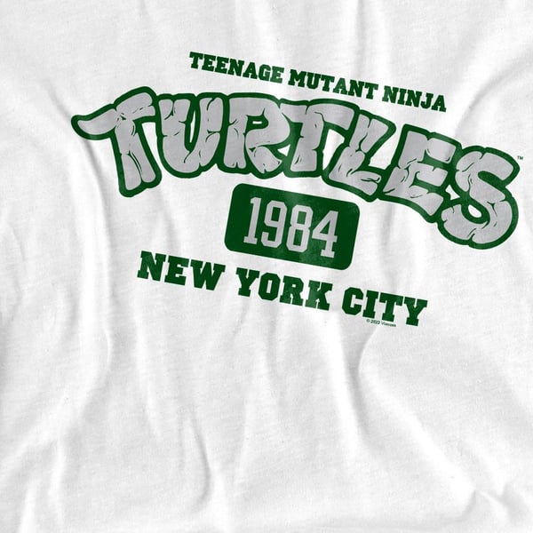 Teenage Mutant Ninja Turtles Unisex Adult Est 1984 NYC T-Shirt