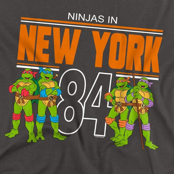 Teenage Mutant Ninja Turtles Unisex Adult TMNT NYC T-Shirt