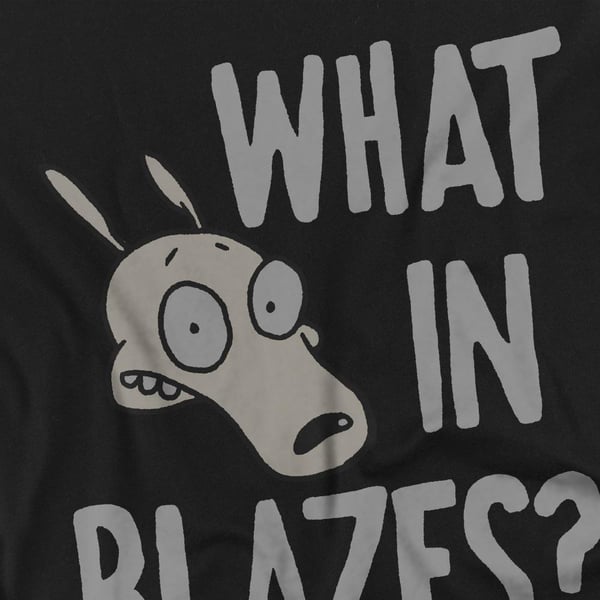 Rocko´s Modern Life Unisex Adult What In Blazes? T-Shirt