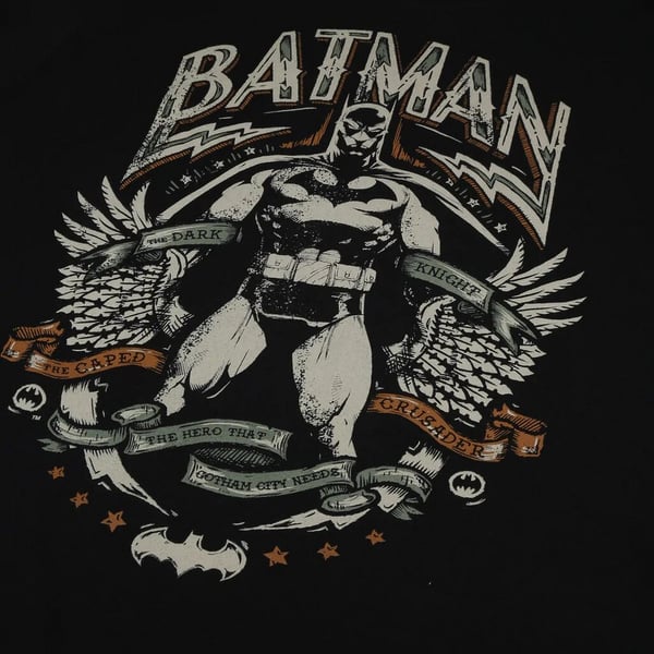 Batman Mens Gotham Hero T-Shirt