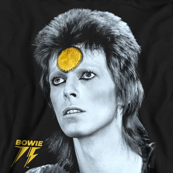David Bowie Unisex Adult Golden Bowie Sweatshirt