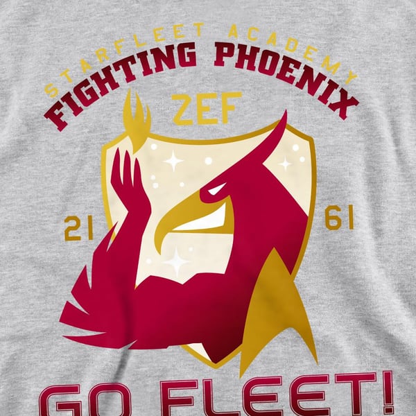 Star Trek Unisex Adult Fighting Phoenix Sweatshirt