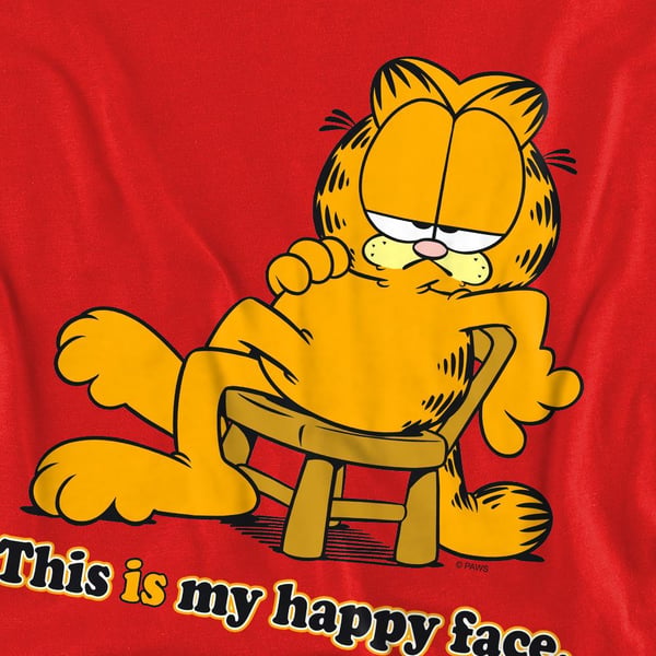 Garfield Unisex Adult Happy Face Sweatshirt