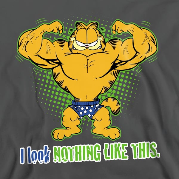 Garfield Unisex Adult Nothing Like This Sweatshirt