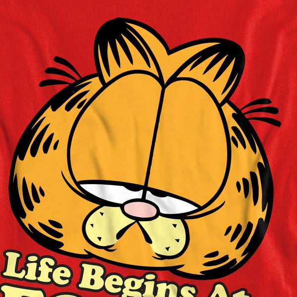 Garfield Unisex Adult Life Begins At Forty Sweatshirt