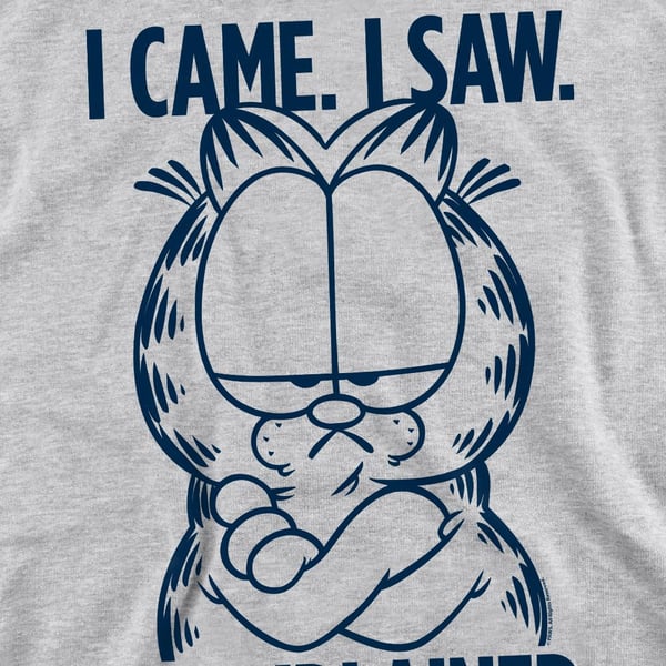 Garfield Unisex Adult I Complained Sweatshirt