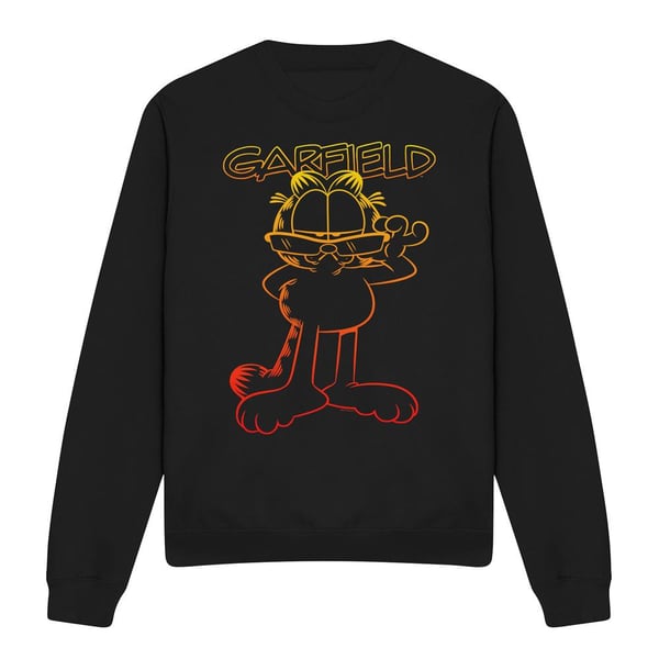 Garfield Unisex Adult Hotshot Sweatshirt