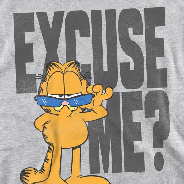 Garfield Unisex Adult Excuse Me? Sweatshirt