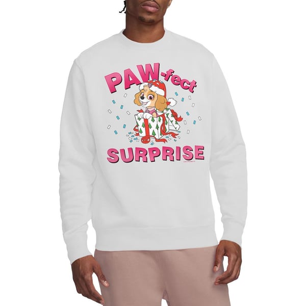 Paw Patrol Unisex Adult The Paw-Fect Christmas Gift Skye Sweatshirt