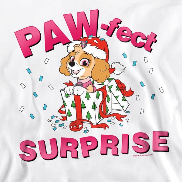 Paw Patrol Unisex Adult The Paw-Fect Christmas Gift Skye Sweatshirt