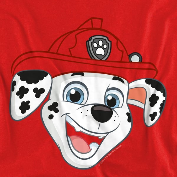 Paw Patrol Unisex Adult Grin Marshall Sweatshirt