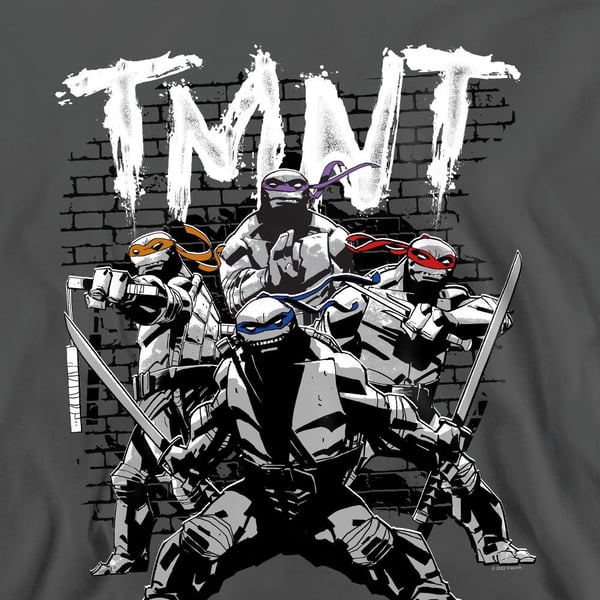 Teenage Mutant Ninja Turtles Unisex Adult TMNT Team Sweatshirt
