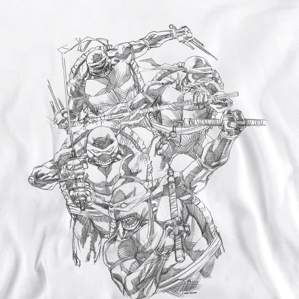 Teenage Mutant Ninja Turtles Unisex Adult Shinobis Sweatshirt