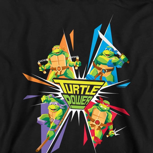 Teenage Mutant Ninja Turtles Unisex Adult Turtle Power Sweatshirt