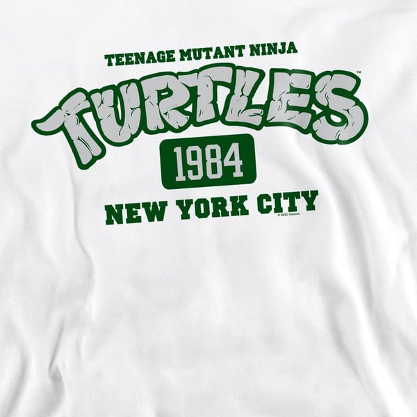 Teenage Mutant Ninja Turtles Unisex Adult Est 1984 NYC Sweatshirt