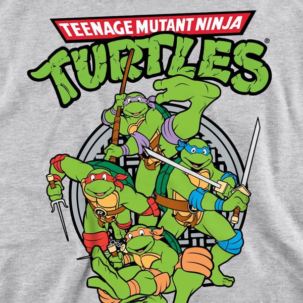 Teenage Mutant Ninja Turtles Unisex Adult Group Sweatshirt