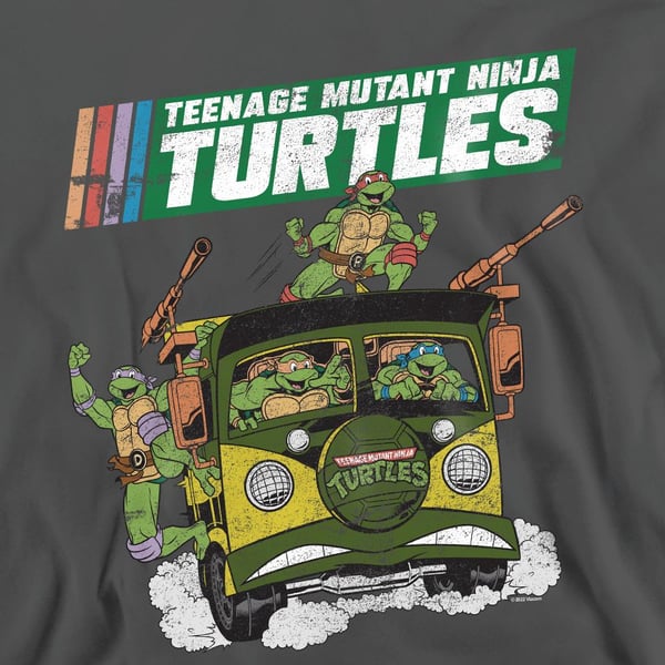 Teenage Mutant Ninja Turtles Unisex Adult Van Sweatshirt