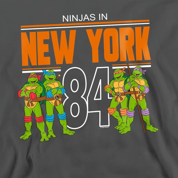Teenage Mutant Ninja Turtles Unisex Adult TMNT NYC Sweatshirt