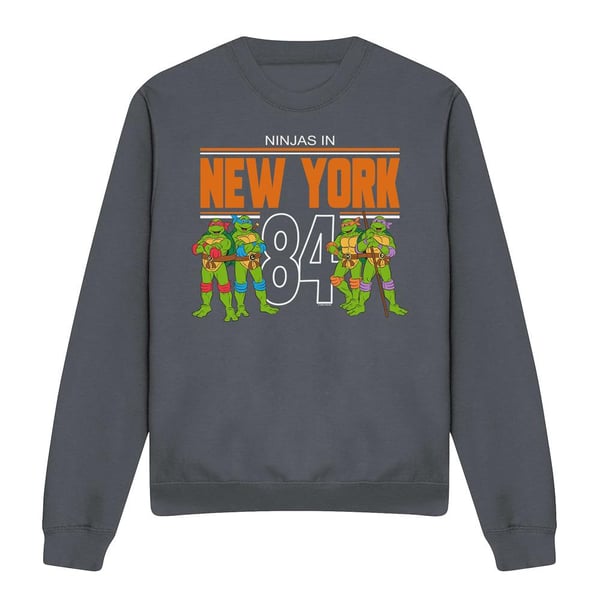 Teenage Mutant Ninja Turtles Unisex Adult TMNT NYC Sweatshirt