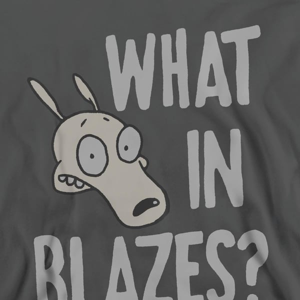Rocko´s Modern Life Unisex Adult What In Blazes? Sweatshirt
