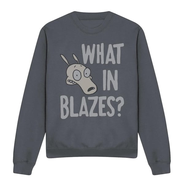 Rocko´s Modern Life Unisex Adult What In Blazes? Sweatshirt