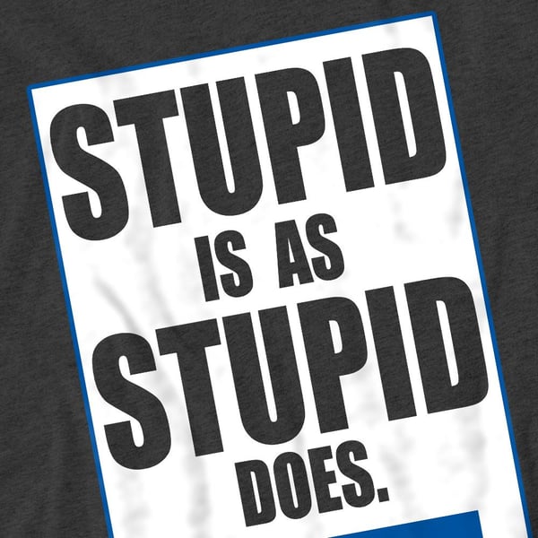 Forrest Gump Unisex Adult Stupid Is T-Shirt