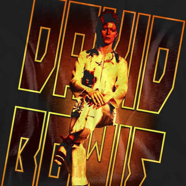 David Bowie Unisex Adult Perched T-Shirt