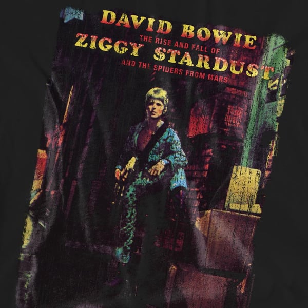 David Bowie Unisex Adult Ziggy Stardust Album T-Shirt