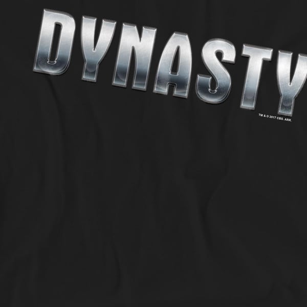 Dynasty Unisex Adult Shiny T-Shirt