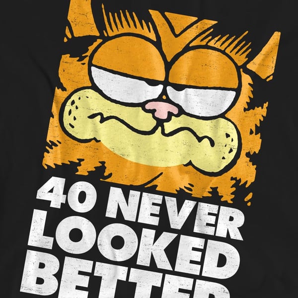 Garfield Unisex Adult 40 Looks T-Shirt