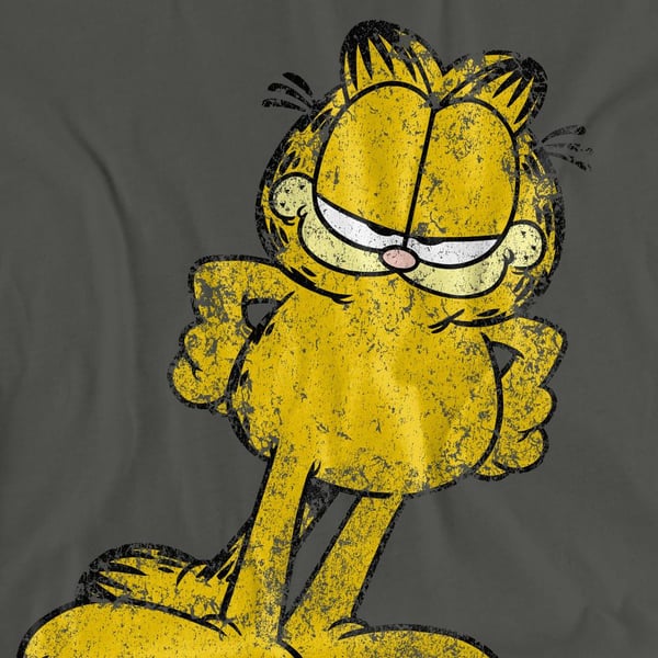 Garfield Unisex Adult Big Ol´ Cat T-Shirt
