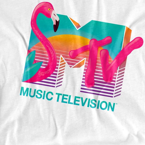 MTV Unisex Adult Vibrant Flamingo Sunset T-Shirt