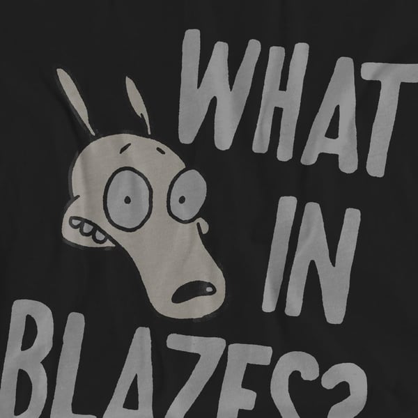 Rocko´s Modern Life Unisex Adult What In Blazes? T-Shirt