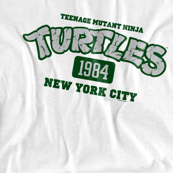 Teenage Mutant Ninja Turtles Unisex Adult Est 1984 NYC T-Shirt
