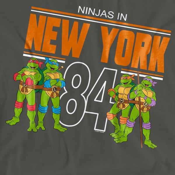 Teenage Mutant Ninja Turtles Unisex Adult TMNT NYC T-Shirt