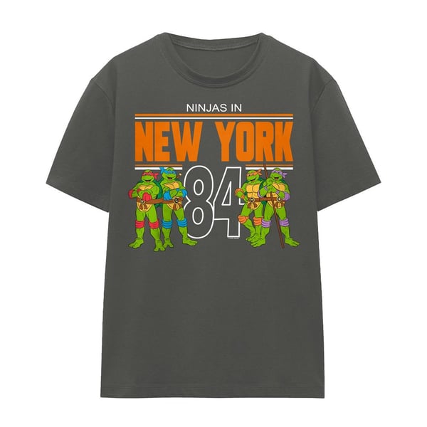 Teenage Mutant Ninja Turtles Unisex Adult TMNT NYC T-Shirt