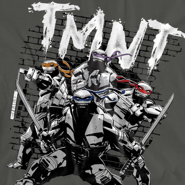 Teenage Mutant Ninja Turtles Unisex Adult TMNT Team T-Shirt