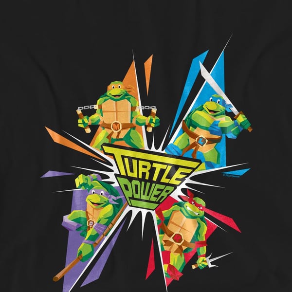 Teenage Mutant Ninja Turtles Unisex Adult Turtle Power T-Shirt