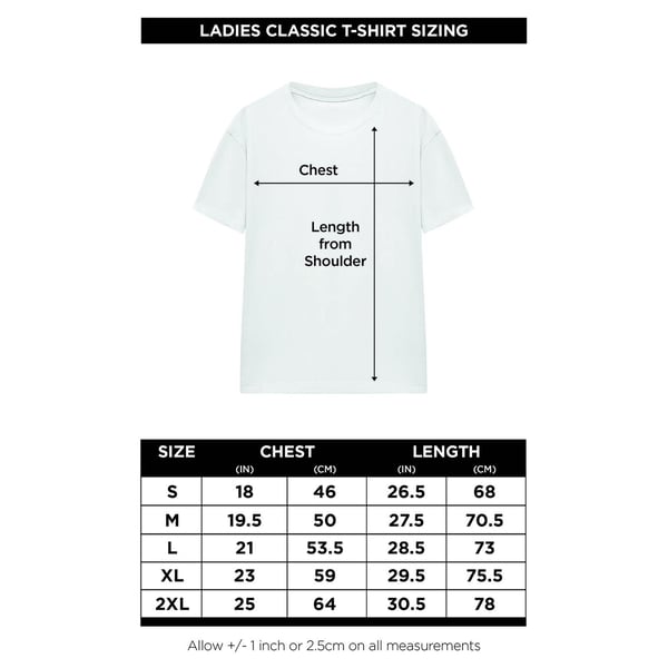 Mulan Unisex Adult Action Panels T-Shirt