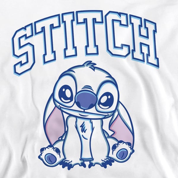 Lilo & Stitch Unisex Adult Collegiate Brush Stroke Crew Neck Sweatshirt