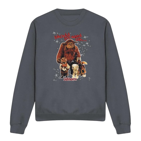 Labyrinth Unisex Aikuisten Should You Need Us -collegepaita