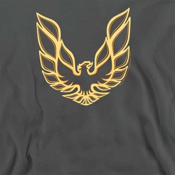 Pontiac Unisex Adult Iconic Firebird Sweatshirt
