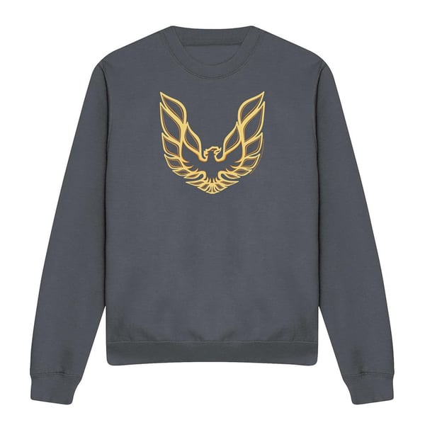 Pontiac Unisex Adult Iconic Firebird Sweatshirt