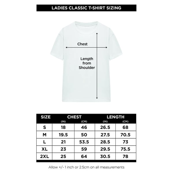 K-Pop Demon Hunters Womens/Ladies Huntr/X Panel T-Shirt