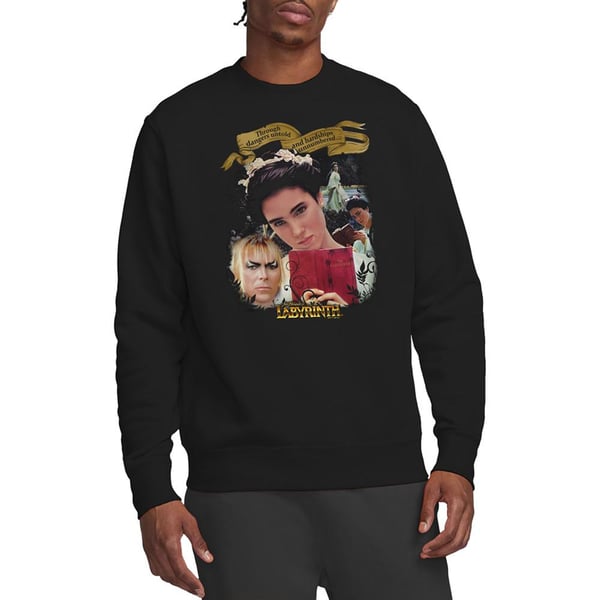 Labyrinth Unisex Adult Dangers Untold Sweatshirt