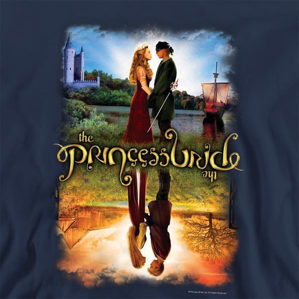The Princess Bride Unisex Adult Poster Reflection Sweatshirt
